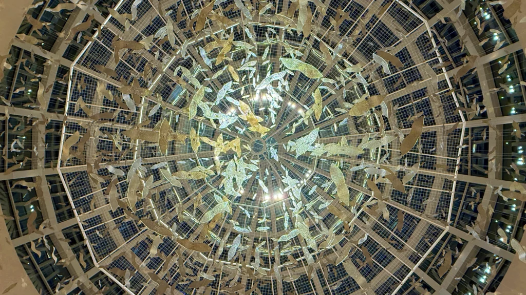 Cloud of Birds Edyta Barańska